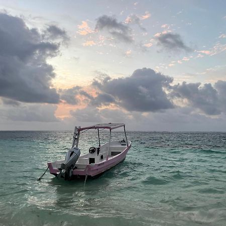 Home'S Jungle Puerto Morelos Cancun 20 Minutes From The Airport Buitenkant foto