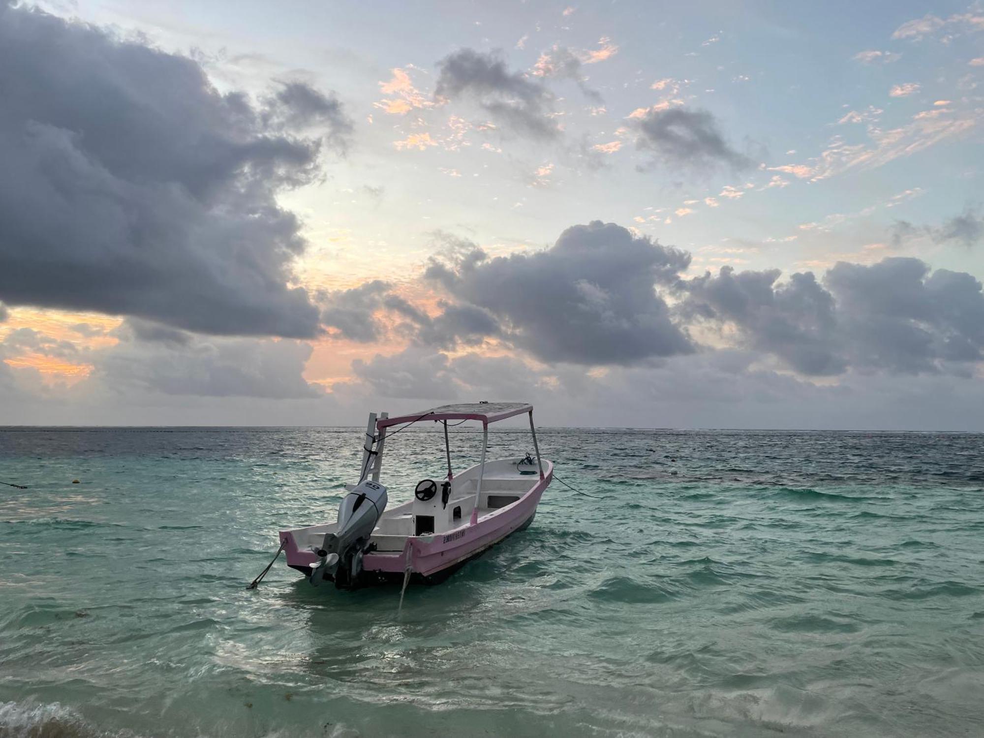 Home'S Jungle Puerto Morelos Cancun 20 Minutes From The Airport Buitenkant foto