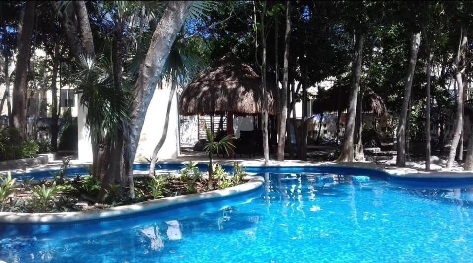 Home'S Jungle Puerto Morelos Cancun 20 Minutes From The Airport Buitenkant foto